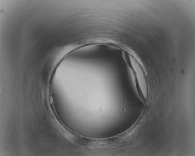 X0000081491187200701121502