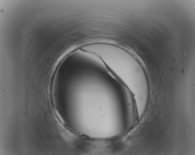 X0000081491189200701121502