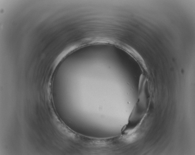 X0000081491190200701121502