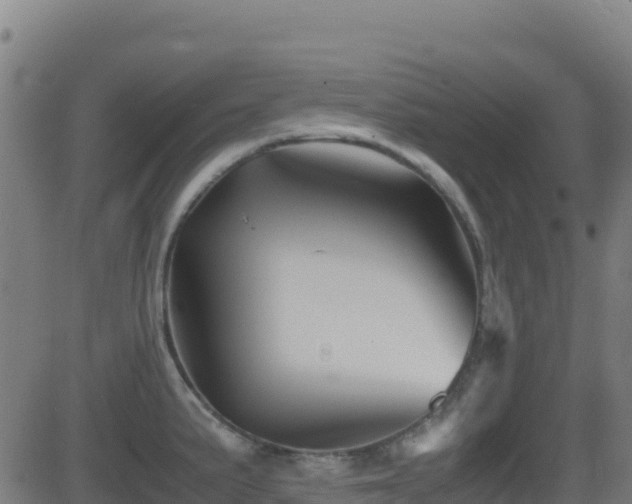 X0000081491191200701121502