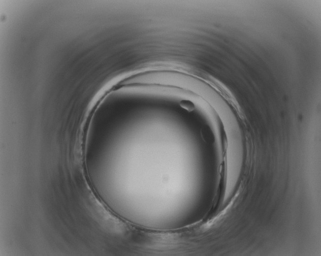 X0000081491192200701121502