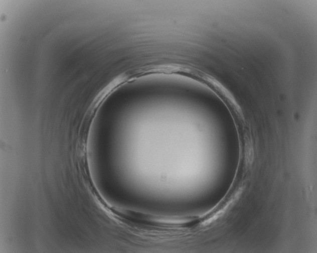 X0000081491193200701121502