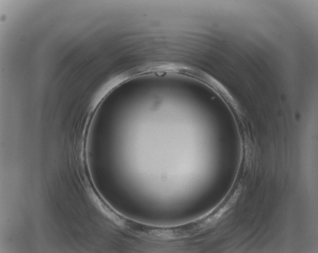 X0000081491194200701121502