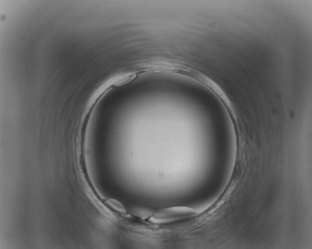 X0000081491195200701121502