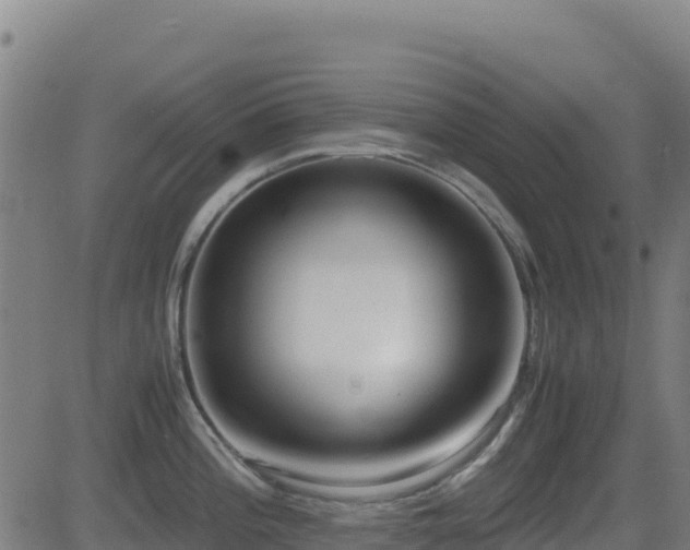 X0000081491196200701121502