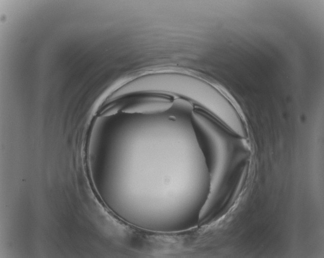 X0000081491197200701121502