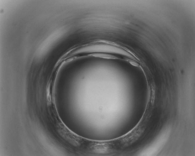 X0000081491198200701121502