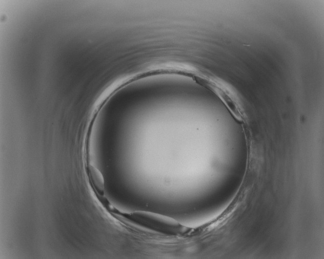 X0000081491199200701121502