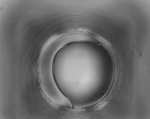 X0000081491200200701121502