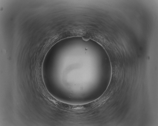 X0000081491201200701121501