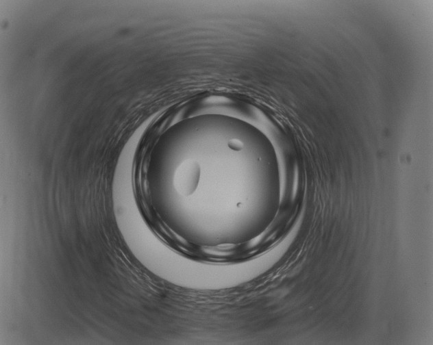 X0000081491202200701121501