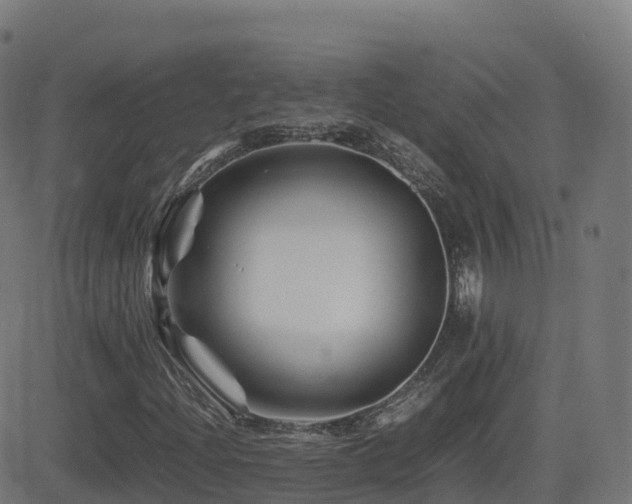 X0000081491204200701121501