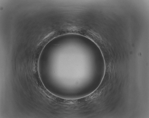 X0000081491205200701121501