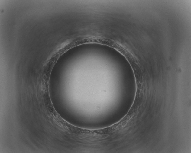 X0000081491207200701121501