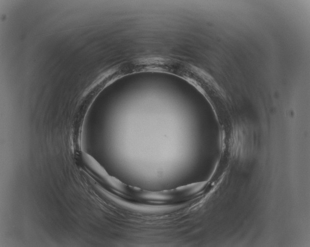 X0000081491209200701121501