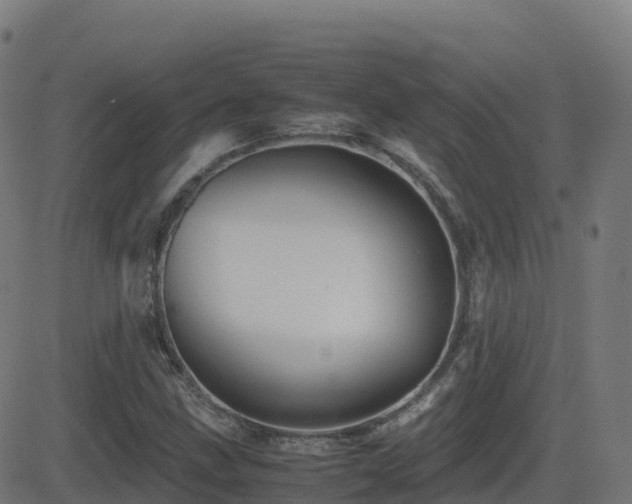 X0000081491211200701121501