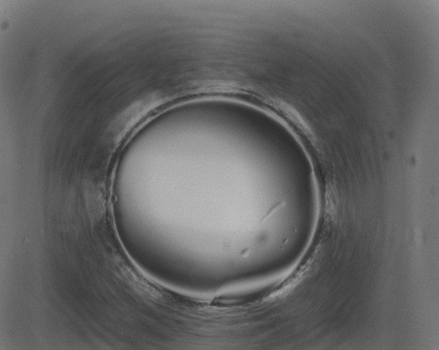 X0000081491212200701121501