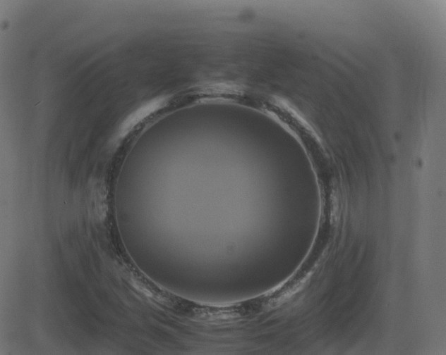 X0000081491213200701121501