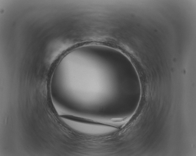 X0000081491214200701121501