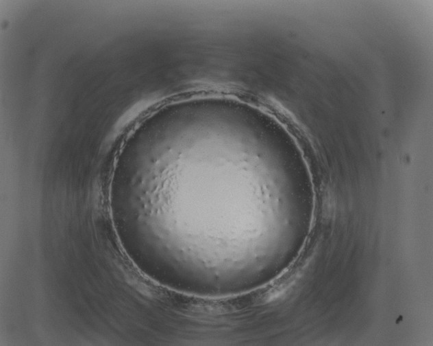 X0000081491215200701121501