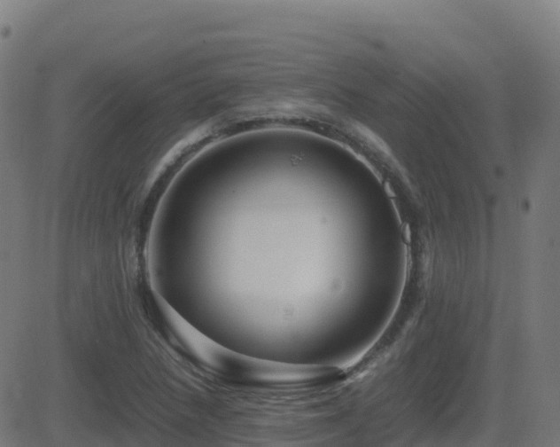 X0000081491218200701121501