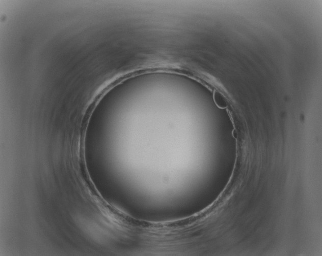 X0000081491220200701121501