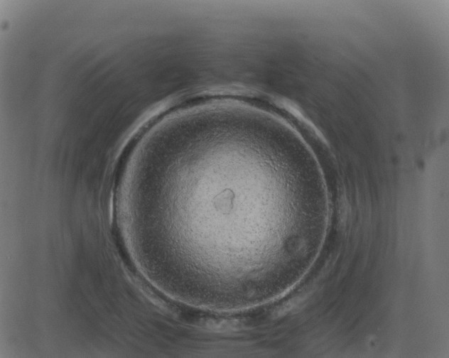 X0000081491221200701121501