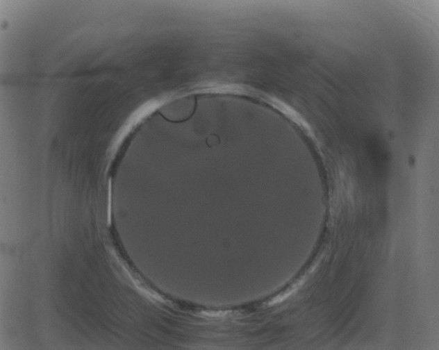 X0000081491223200701121501