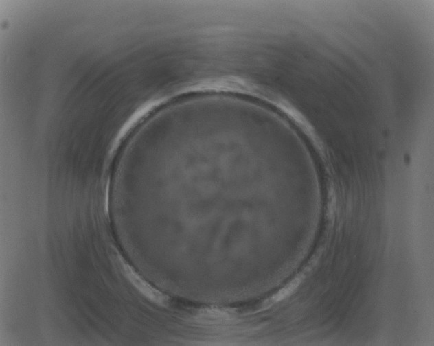 X0000081491224200701121502