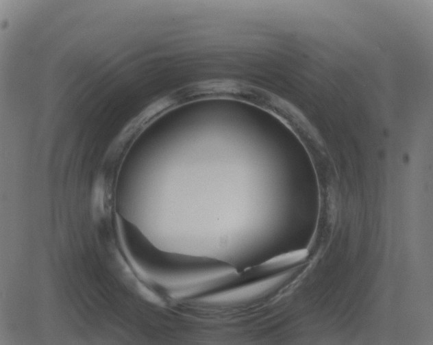 X0000081491225200701121502