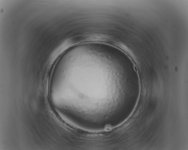 X0000081491227200701121502