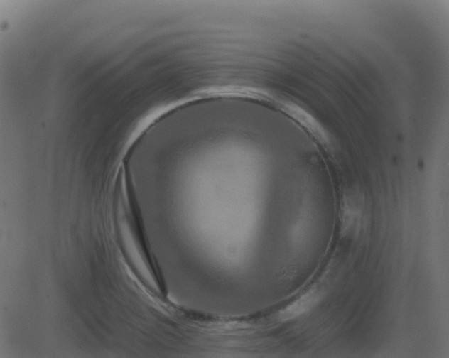 X0000081491228200701121502