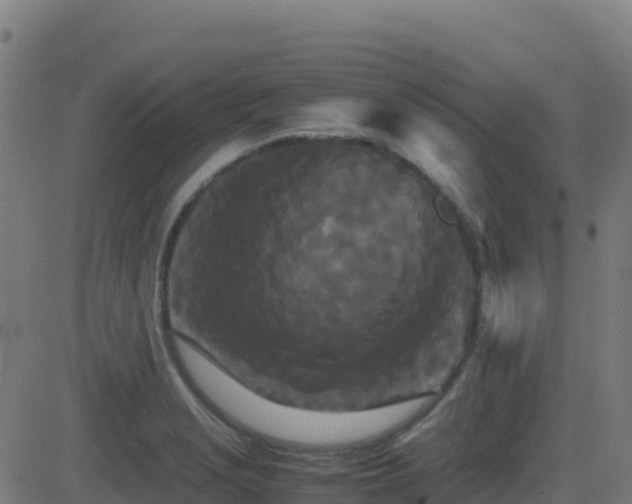 X0000081491229200701121502