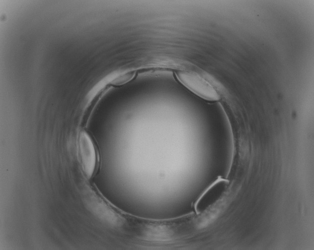 X0000081491230200701121502