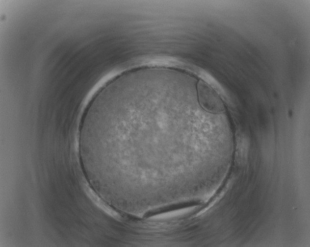 X0000081491232200701121502