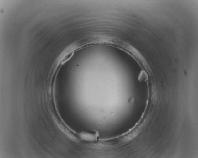 X0000081491234200701121502