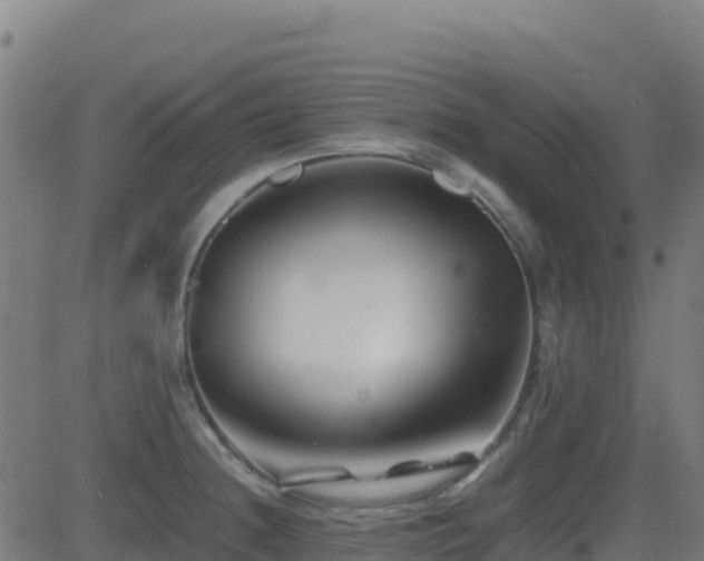 X0000081491236200701121502