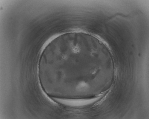 X0000081491239200701121502