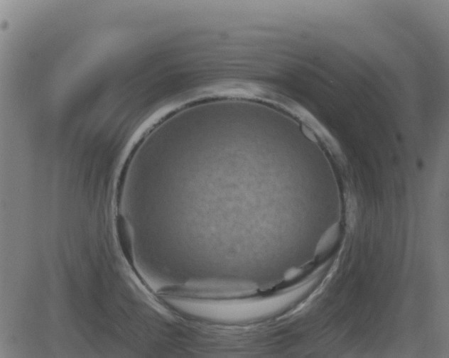 X0000081491240200701121502