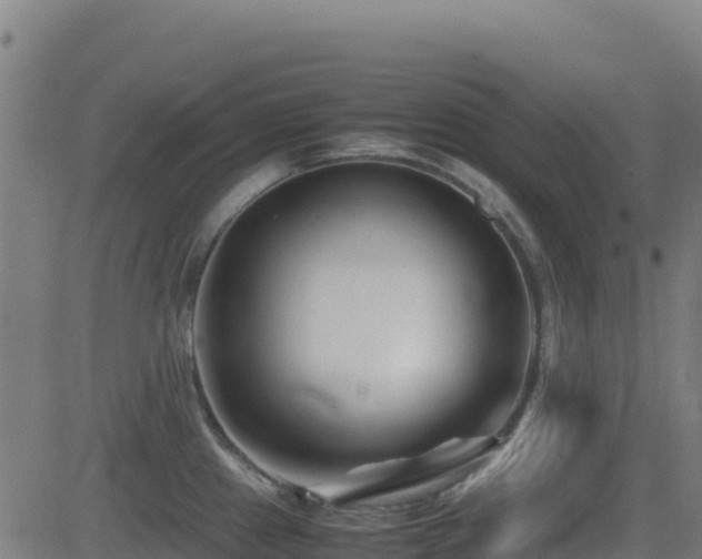 X0000081491241200701121502