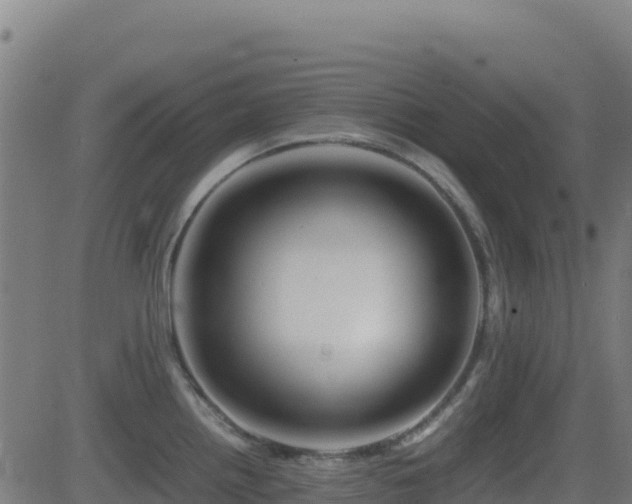 X0000081491242200701121502