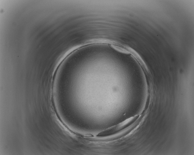 X0000081491244200701121502