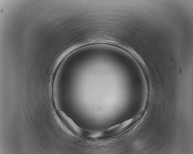 X0000081491246200701121502