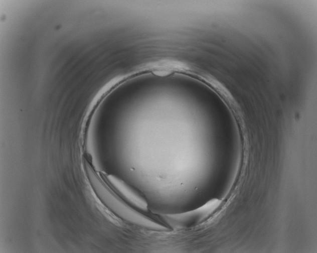 X0000081491248200701121502