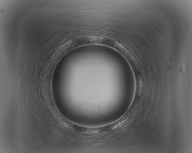 X0000081491249200701121501