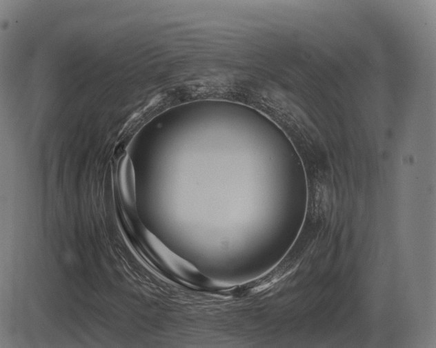 X0000081491250200701121501