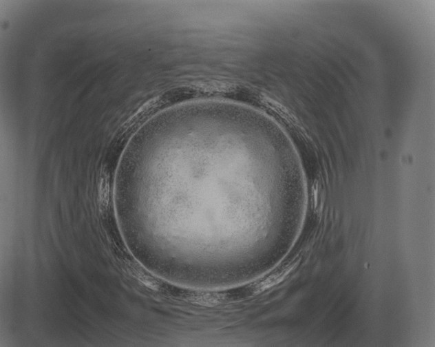 X0000081491251200701121501