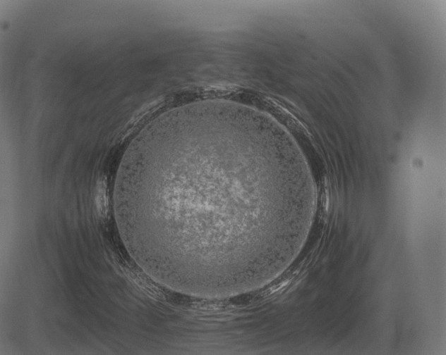 X0000081491252200701121501