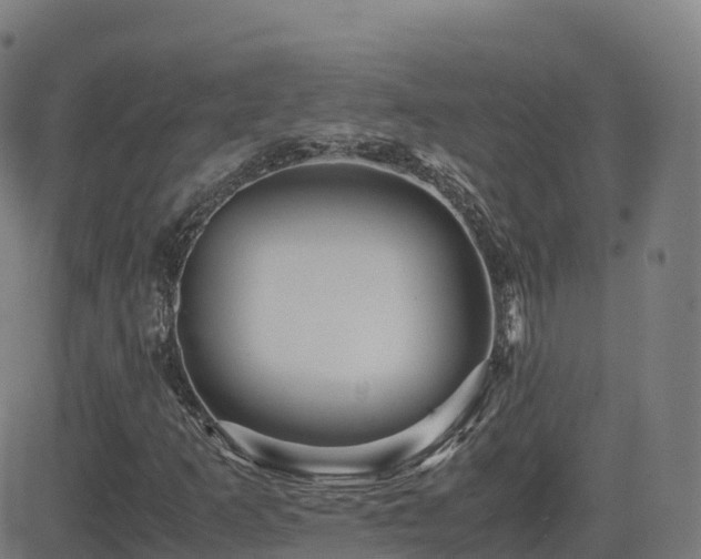 X0000081491253200701121501