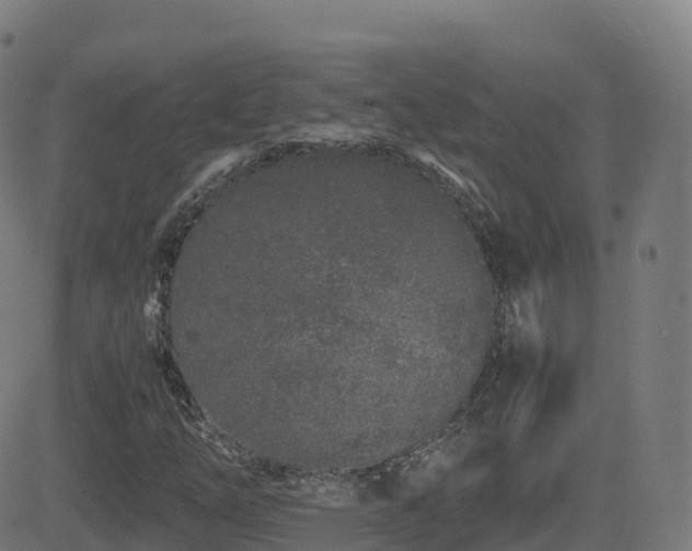 X0000081491254200701121501